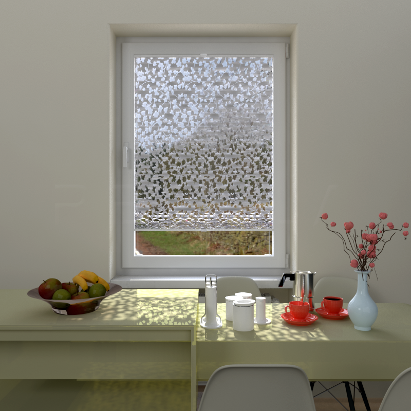 Plisuotos žaliuzės,  skaidrus, Balta