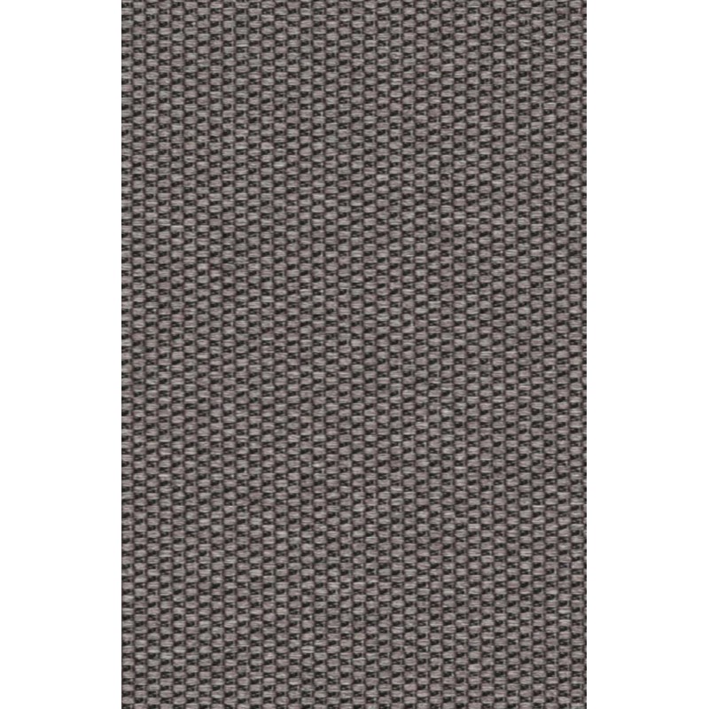 Naktinės romanetės, pilko atspalvio 