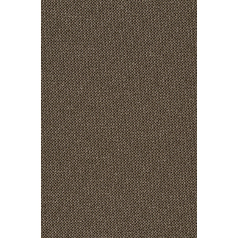 Naktinės romanetės, rudo atspalvio 