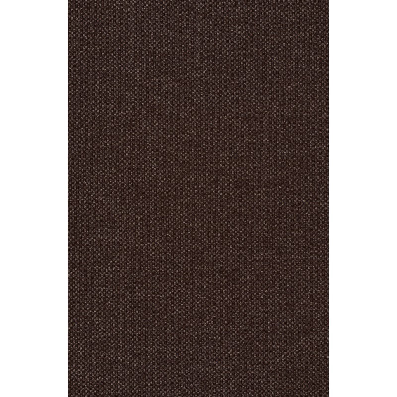 Naktinės romanetės, rudo atspalvio 