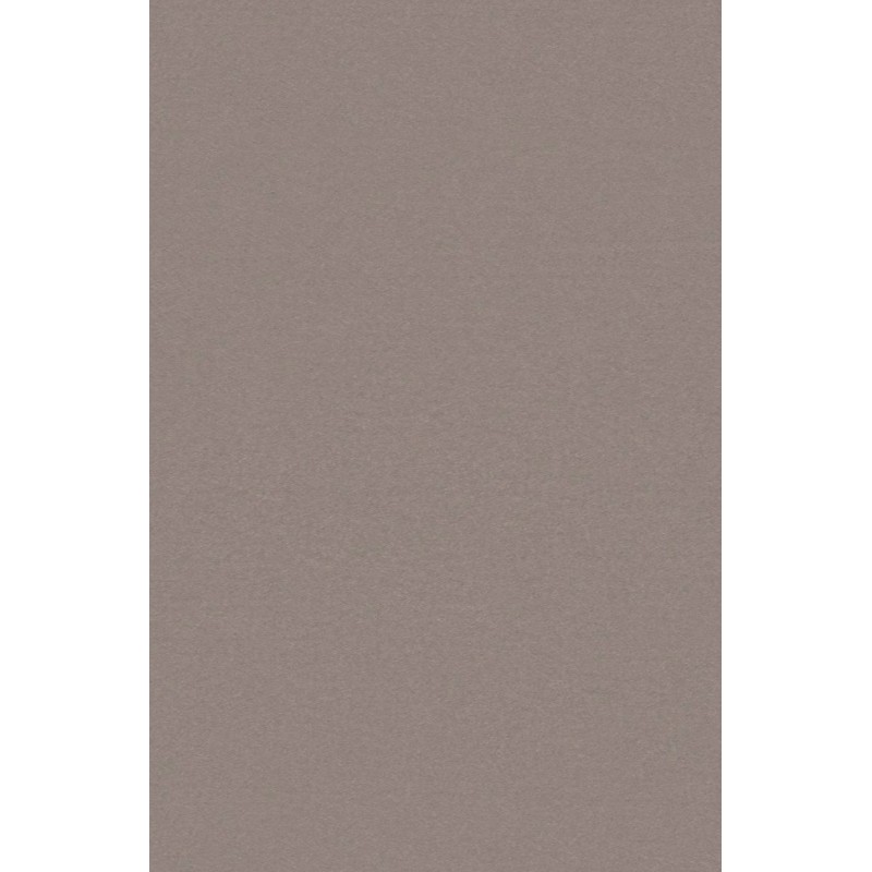 Naktinės užuolaidos, pilko atspalvio Blackout