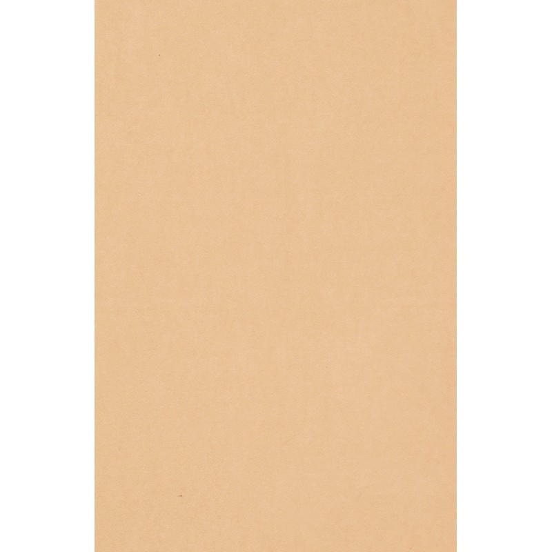 Naktinės užuolaidos, smėlio atspalvio Blackout