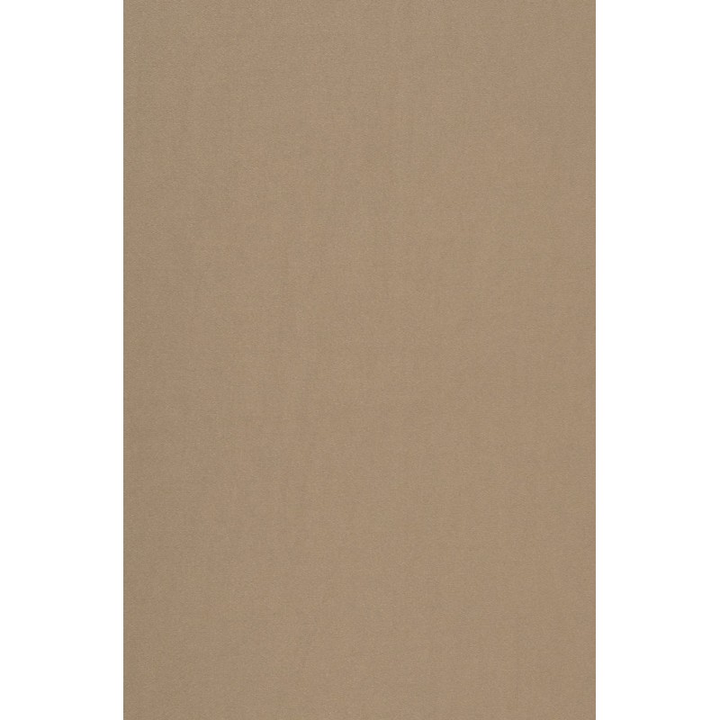 Naktinės užuolaidos, smėlio atspalvio Blackout