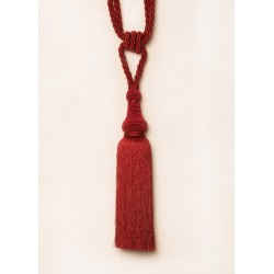 Raudono atspalvio viengubas parišimas